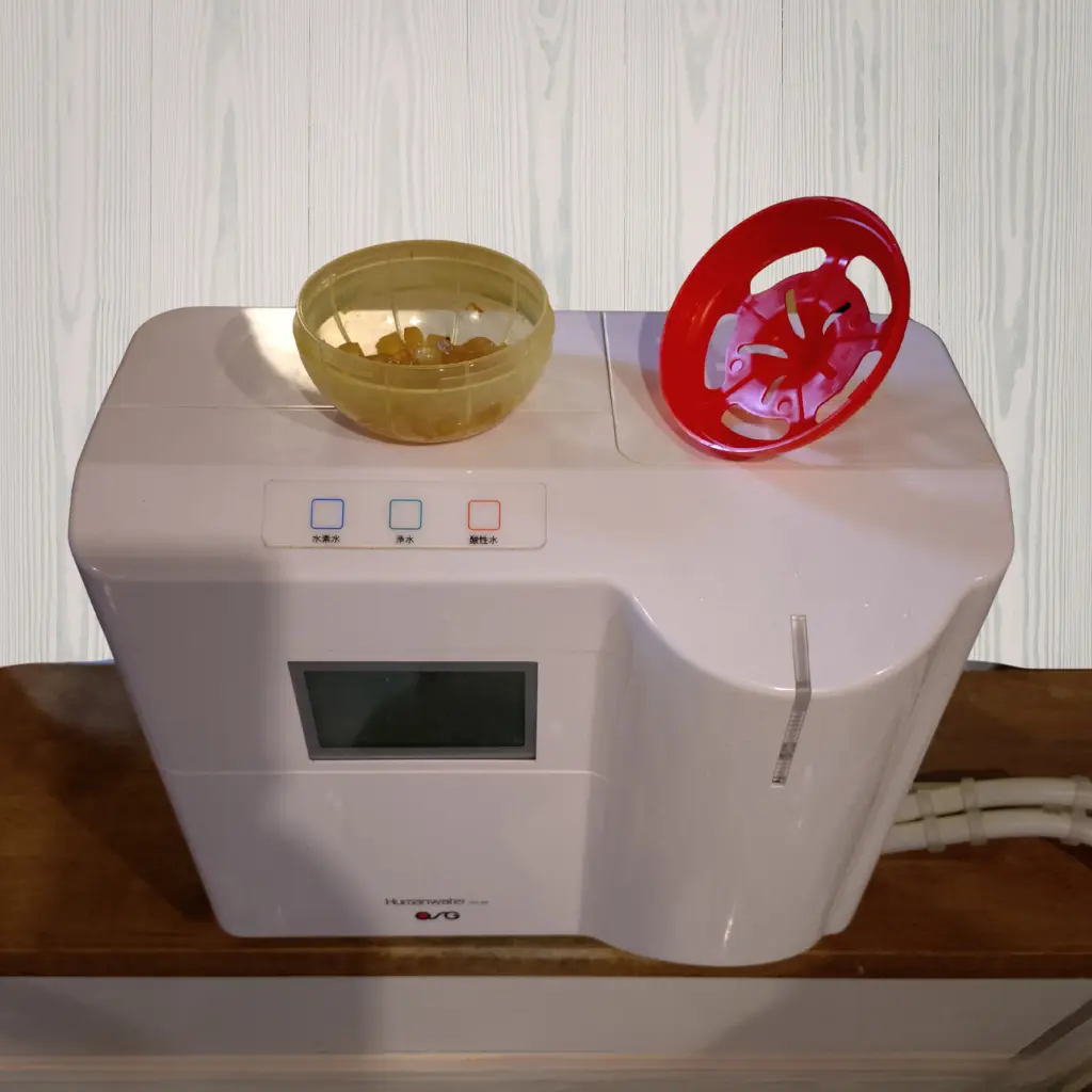 コバエがホイホイを設置して数日後に実際に捕獲されたコバエの様子