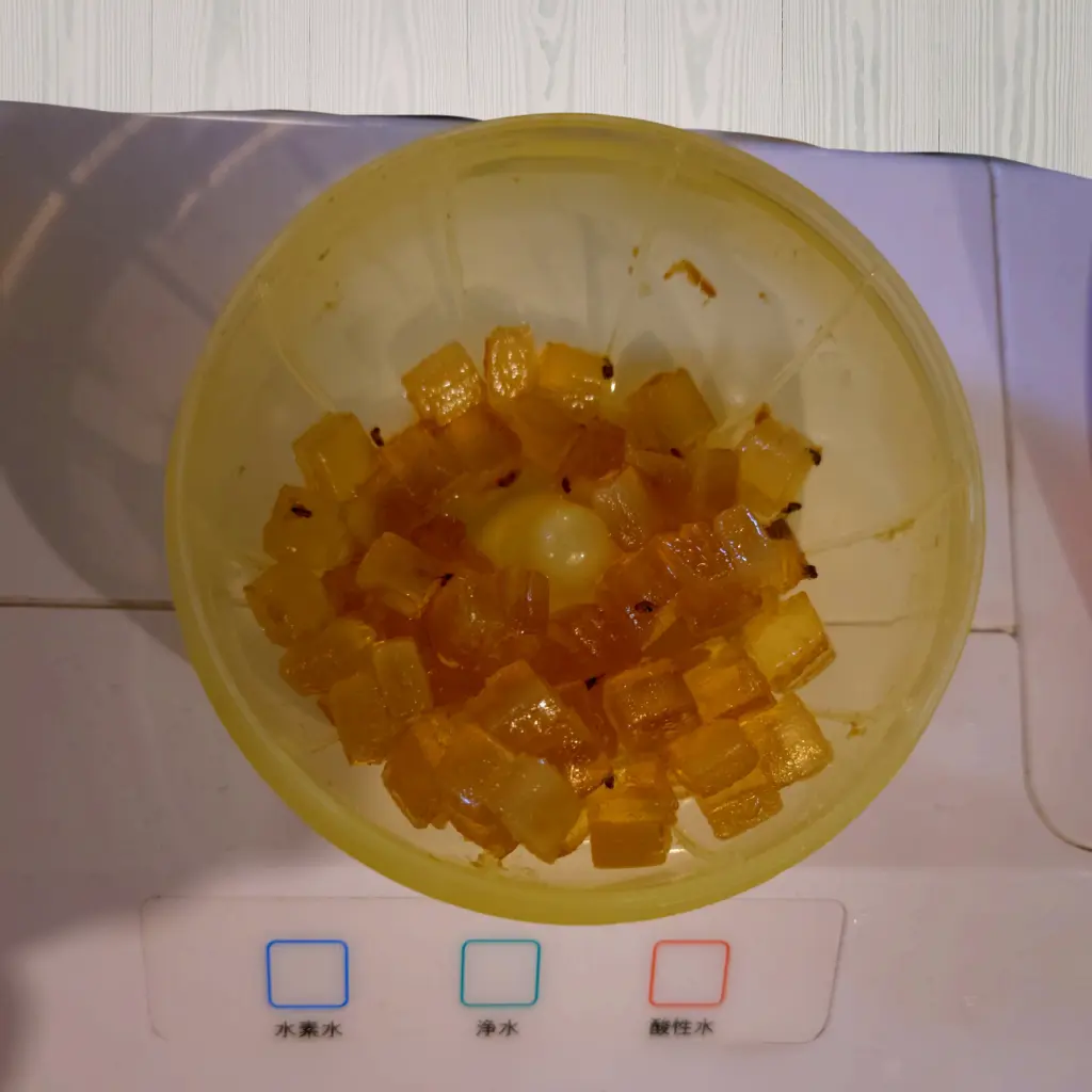 コバエがホイホイの内部を上から撮影した捕獲状況の拡大写真（設置後数日）