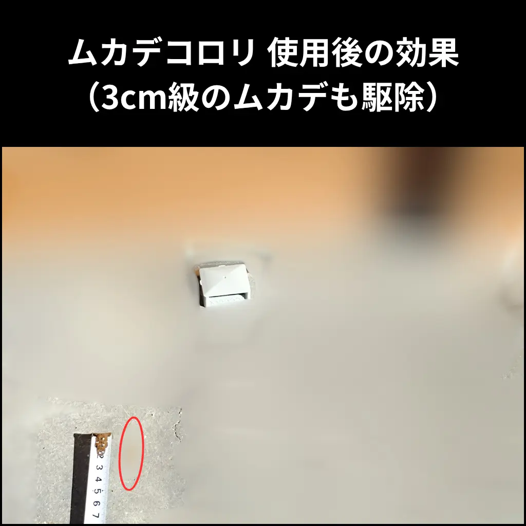 ムカデコロリ使用後に玄関で駆除された3cm級のムカデ（閲覧注意）