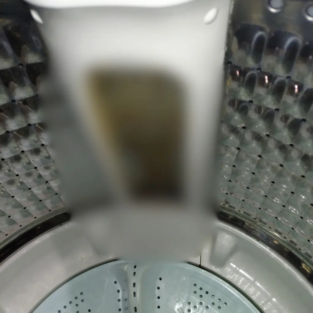 洗濯槽クリーナー使用後に糸くずフィルターを外した内部の状態（モザイクあり）