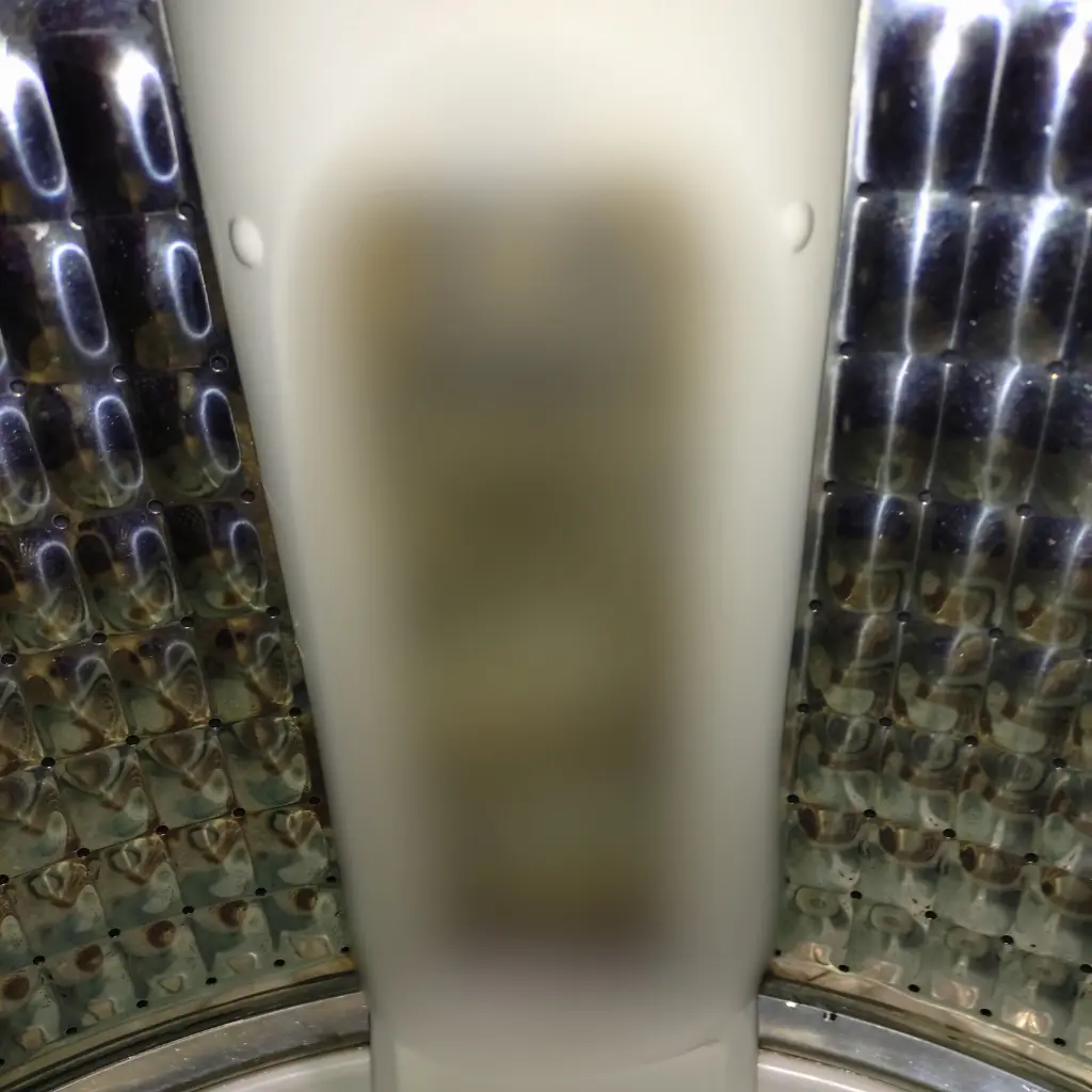 洗浄後に糸くずフィルターを外した洗濯槽内部の状態（モザイクあり）