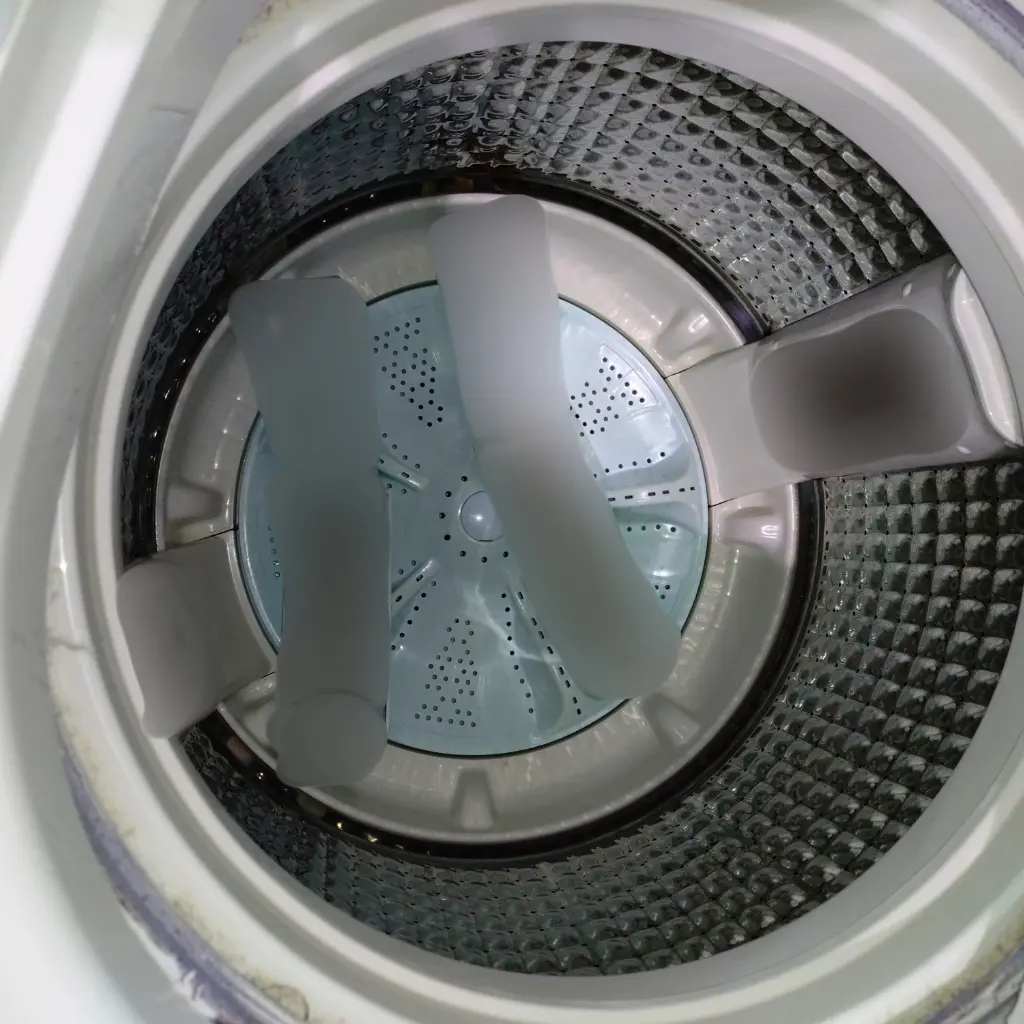 洗濯槽クリーナー使用前に糸くずフィルターを外した洗濯槽内部の様子（モザイクあり）