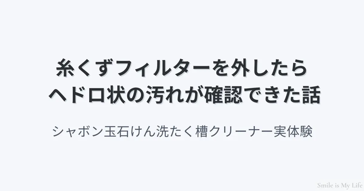 糸くずフィルターの奥にヘドロ状の汚れが確認できた洗濯槽クリーナー実体験レビュー